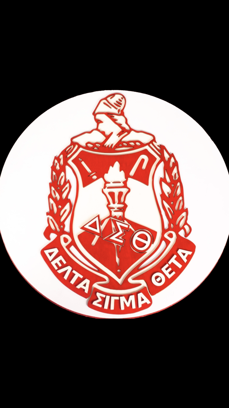 18 inch Shield image 0