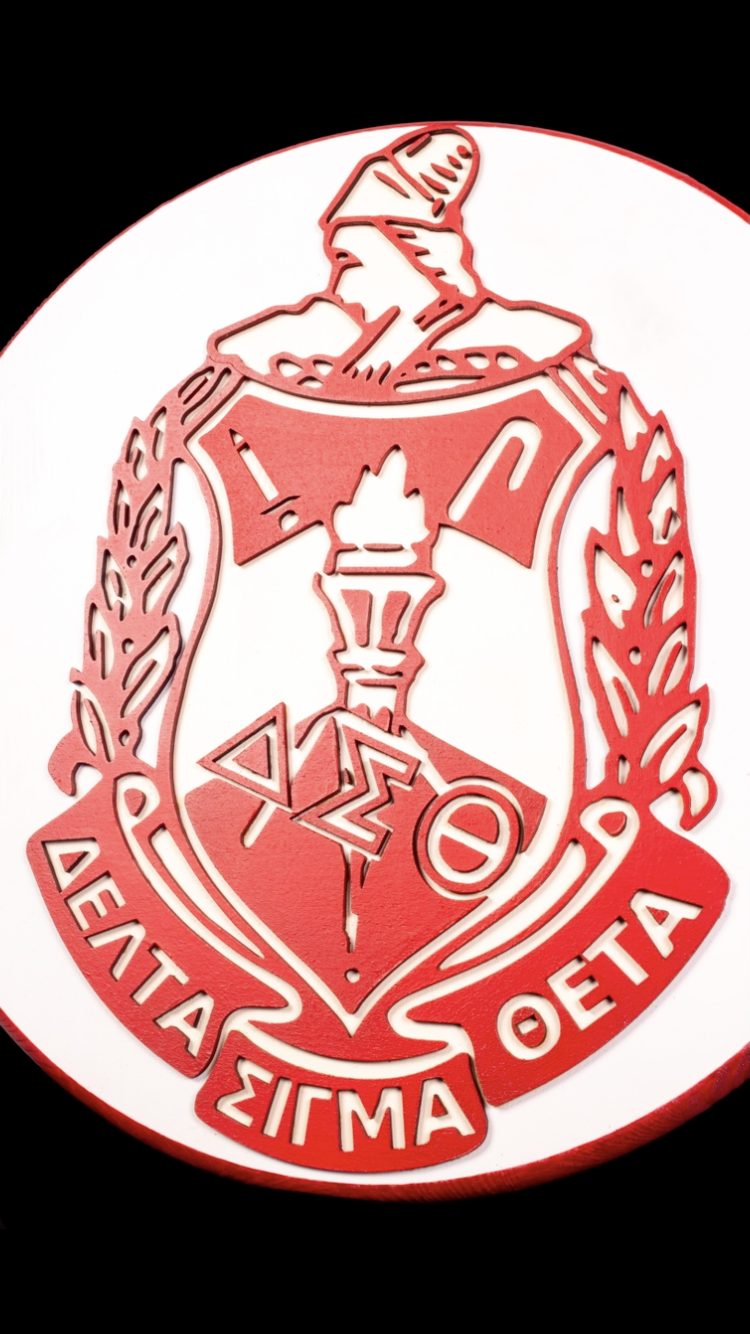 15 Inch Shield image 2