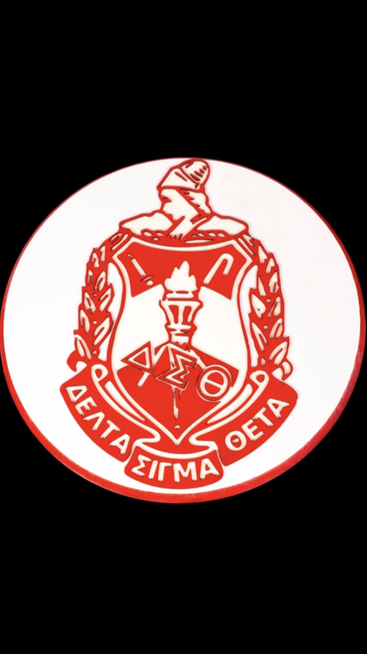 15 Inch Shield image 0