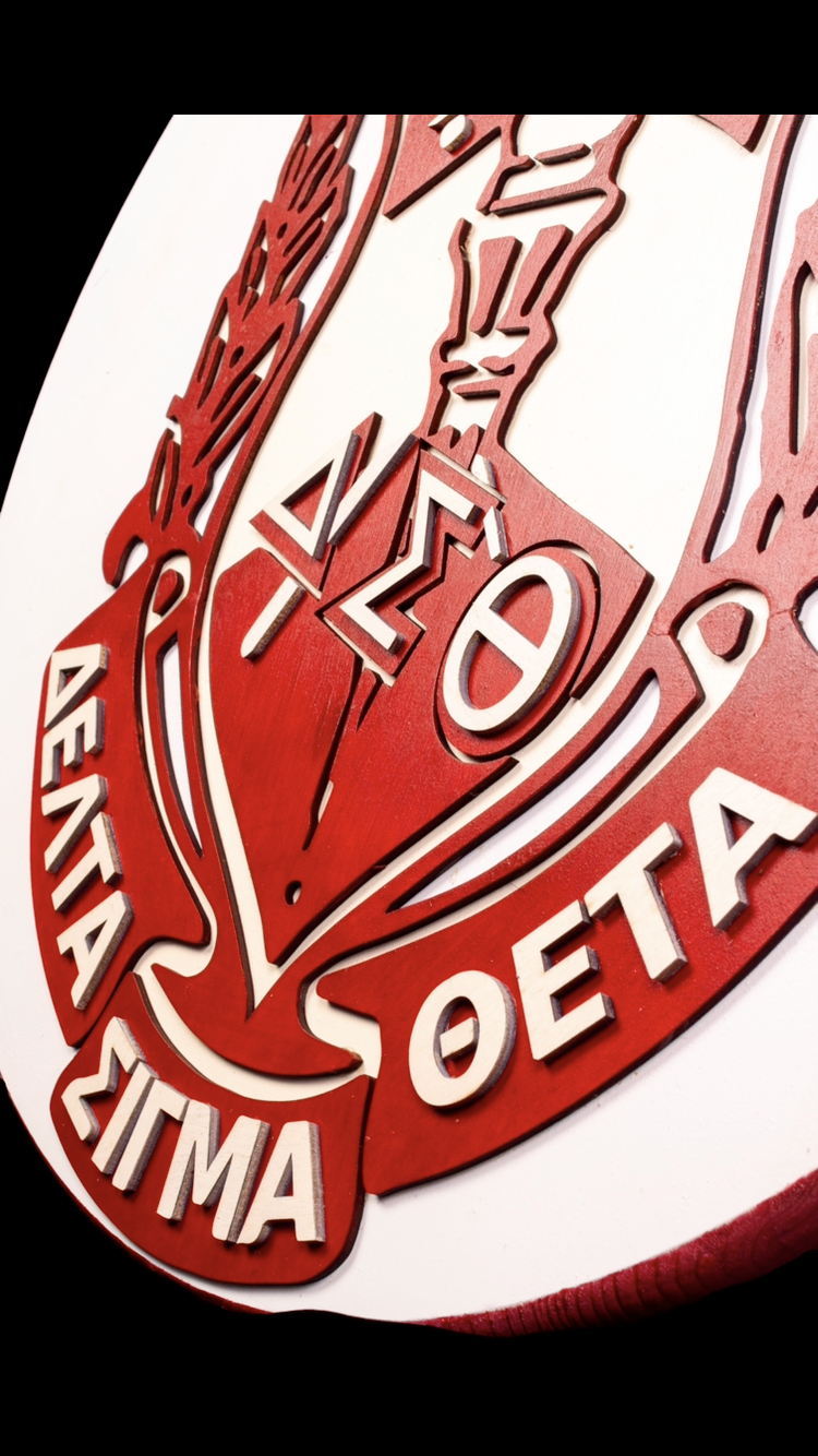 24 inch Shield  image 3