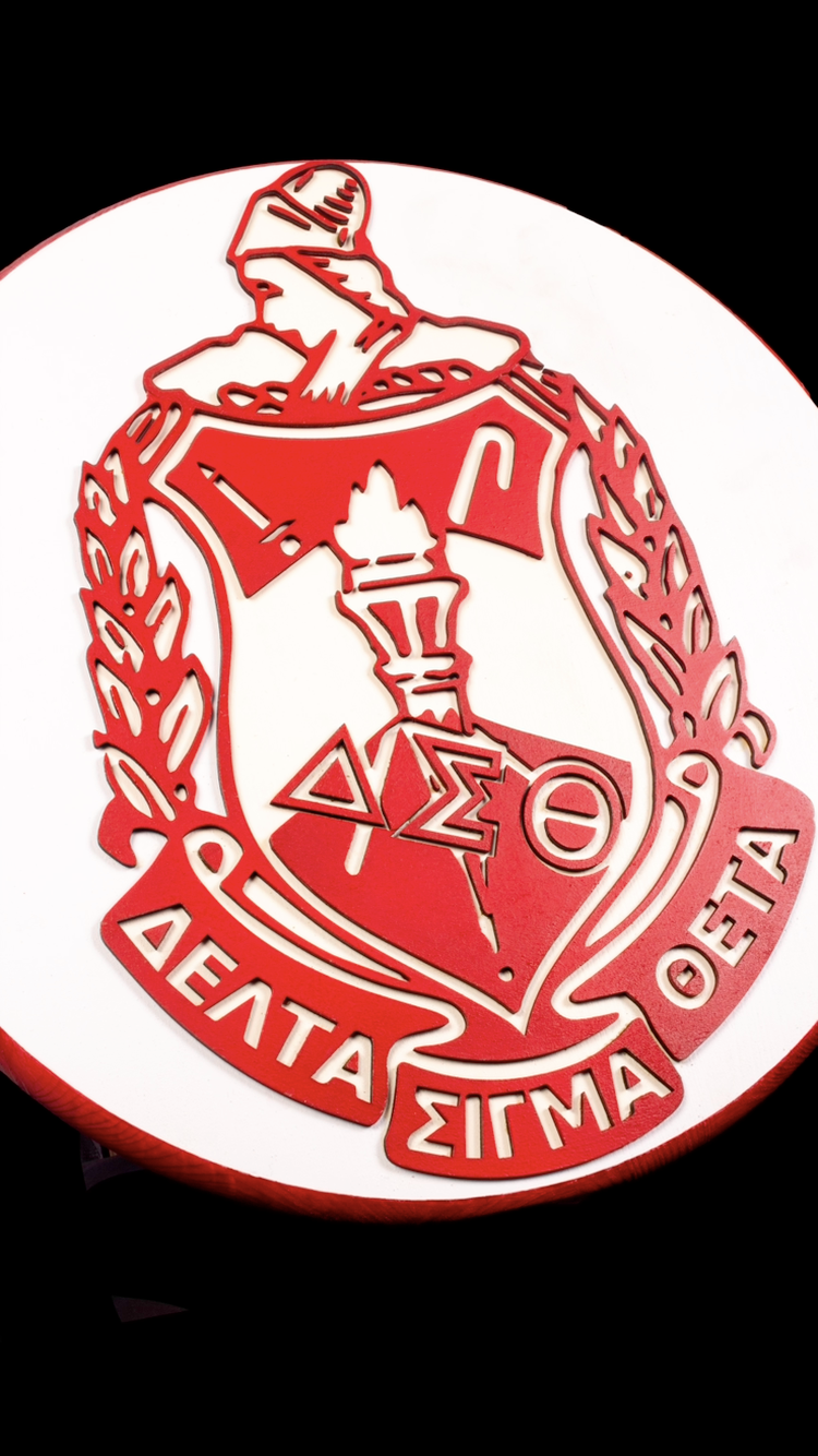 15 Inch Shield image 1