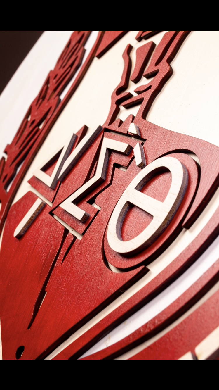 24 inch Shield  image 2