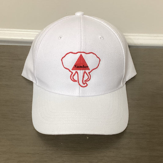 DST Line Number Hat