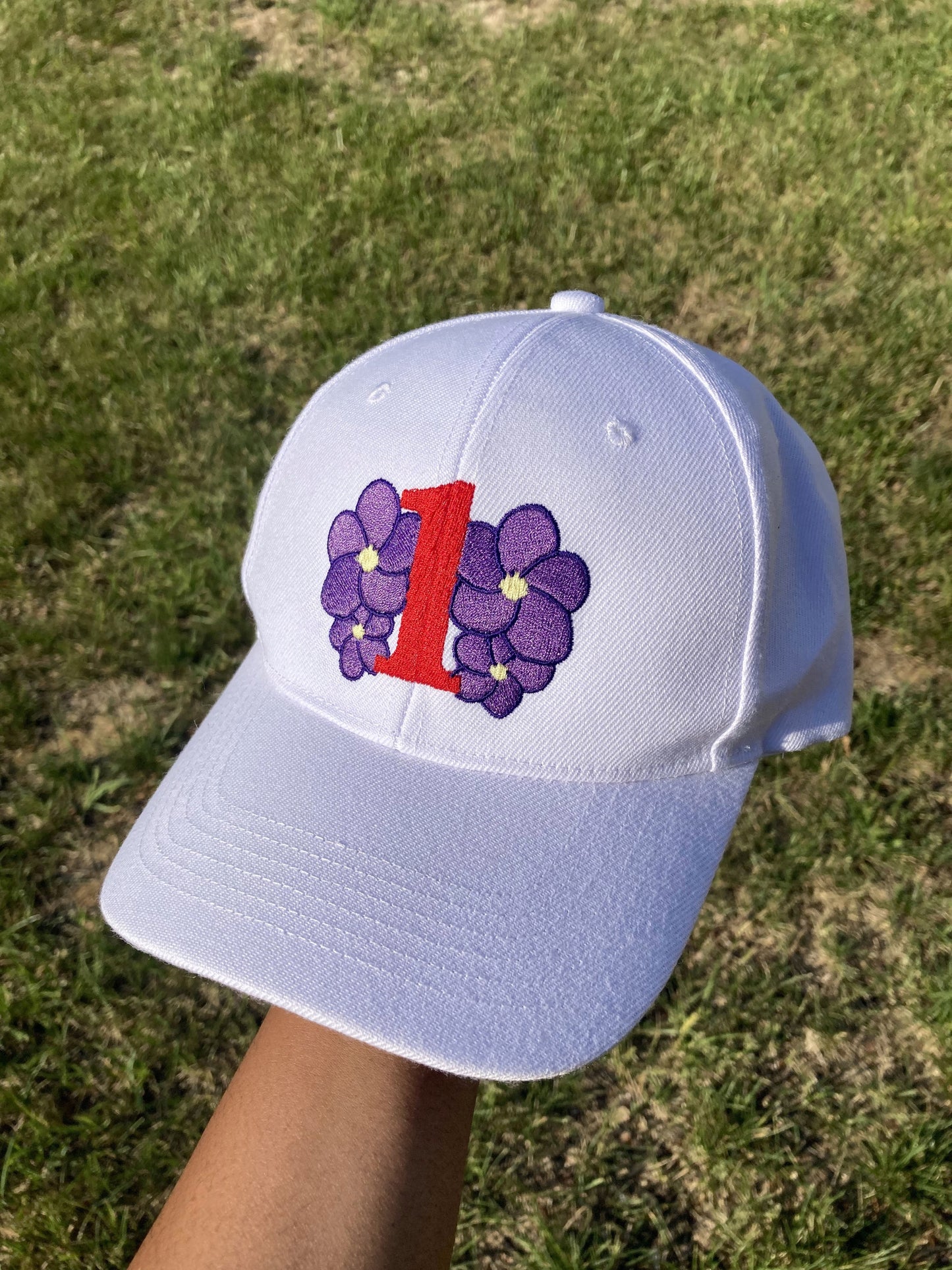 DST Violet Line Number Hat